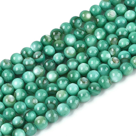 Natural Freshwater Shell Beads Strands BSHE-T009A-01J-1