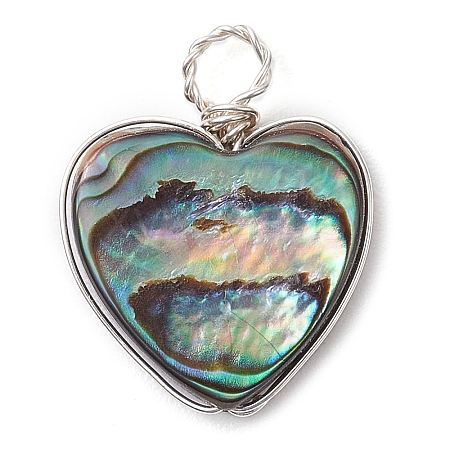 Natural Abalone Shell/Paua Shell Copper Wire Wrapped Pendants PALLOY-JF03007-1