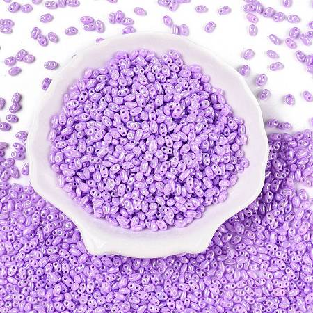 Opaque Colours Luster Glass Seed Beads SEED-T006-02D-1