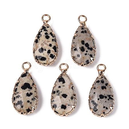 Natural Dalmatian Jasper Faceted Pendants G-Q606-104G-05-1