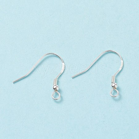 925 Sterling Silver Earring Hooks STER-G011-16-1