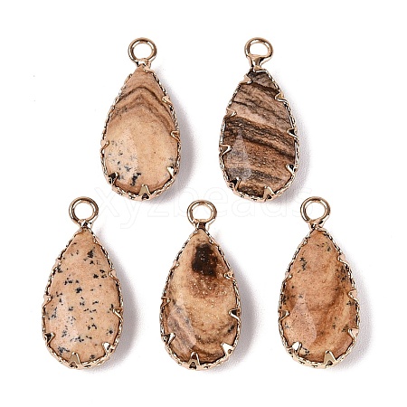 Natural Picture Jasper Faceted Pendants G-Q606-104G-07-1