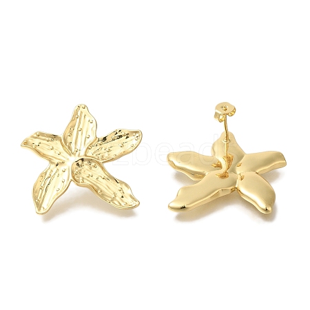 Rack Plating Starfish Brass Stud Earrings EJEW-H016-28G-1