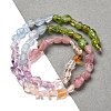 Natural Aquamarine & Rose Quartz & Peridot & Amethyst & Citrine Beads Strands G-L610-B05-01-3