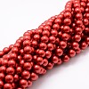 Shell Pearl Bead Strands BSHE-L026-08-8mm-1