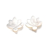 Natural White Shell Beads BSHE-Z008-09-2