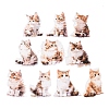 10Pcs 10 Styles Waterproof PET Stickers Set DIY-M002-01B-2