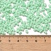 Glass Frosted Seed Beads SEED-K009-05B-05-4