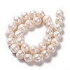 Natural Cultured Freshwater Pearl Beads Strands PEAR-L033-93-3
