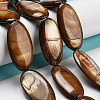 Dyed Natural Freshwater Shell Beads Strands BSHE-G034-23-2