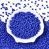 Opaque Colours Glass Seed Beads SEED-C001-02B-06-1