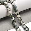 Natural Tree Agate Beads Strands G-H078-C06-01-2