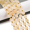 Natural Citrine Beads Strands G-C171-D02-02-2