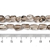 Natural Smoky Quartz Beads Strands G-H085-D01-01-5