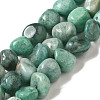 Natural Amazonite Beads Strands G-B078-D10-02-1