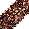 Sythetic Amber Beads Strands G-M199-02B-1