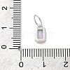 925 Sterling Silver Cubic Zirconia Charms STER-NH0014-01P-06-3