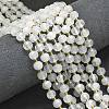 Natural Quartz Beads Strands G-K389-E31-01-2