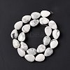 Natural Howlite Beads Strands G-L242-13-4