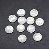 Shell Cabochons SSHEL-E568-B23-2