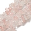 Natural Rose Quartz Chips Beads Strands F007-3-1