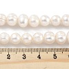 Natural Cultured Freshwater Pearl Beads Strands PEAR-C003-15E-5