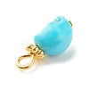 Dyed Synthetic Turquoise Charms PALLOY-JF01452-02-5