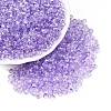 Baking Paint Electroplate Transparent Glass Seed Beads SEED-N006-07A-1