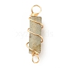 Natural Labradorite Connector Charms PALLOY-JF01580-01-2