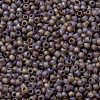 TOHO Round Seed Beads X-SEED-TR11-0166BF-2