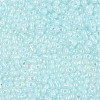 Baking Paint Glass Seed Beads SEED-L011-09A-08-3