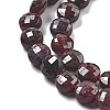 Natural Garnet Beads Strands G-C179-A25-01-4