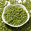 Baking Paint Glass Seed Beads X1-SEED-A032-02A-07-2