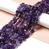 Natural Amethyst Beads Strands G-I351-B04-4