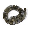 Natural Labradorite Beads Strands G-T139-8x8-19A-2