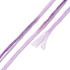 10 Skeins 6-Ply Polyester Embroidery Floss OCOR-K006-A34-3