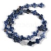 Natural Blue Spot Jasper Beads Strands G-I369-A03-01-3