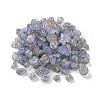 Transparent Acrylic Beads LS-X1-MACR-L005-05C-1