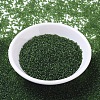 MIYUKI Round Rocailles Beads SEED-G007-RR0158F-1