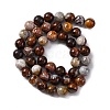 Natural Mexico Crazy Agate Beads Strands G-L615-A01-02-5