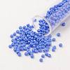 11/0 Grade A Round Glass Seed Beads SEED-N001-A-1021-1