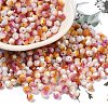 Baking Painted Glass Seed Beads SEED-C004-03I-1