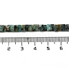 Natural African Turquoise (Jasper) Beads Strands G-Z045-A10-01-5