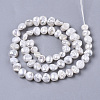 Natural Baroque Pearl Keshi Pearl Beads Strands PEAR-S016-007-2