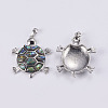 Abalone Shell/Paua Shell Pendants SSHEL-L008-12P-3