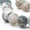 Natural Tree Agate Beads Strands X-G-T106-038-3