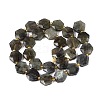 Natural Labradorite Beads Strands G-N368-01A-07-3