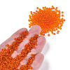 Glass Seed Beads X2-SEED-A004-3mm-9B-4