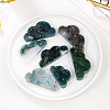 Natural Moss Agate Display Decorations G-PW0004-05-4