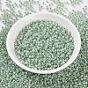 MIYUKI Round Rocailles Beads SEED-JP0009-RR2354-2